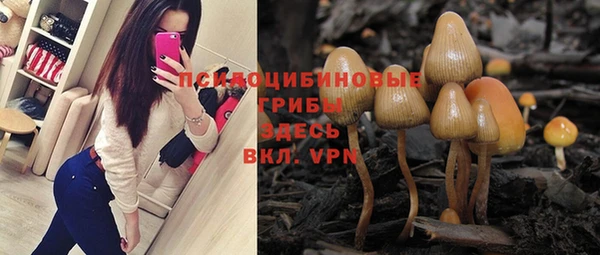 мдпв Новокубанск