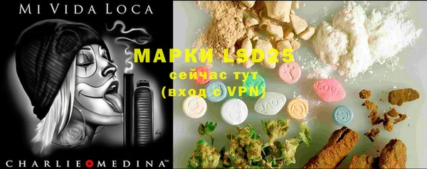PSILOCYBIN Осинники